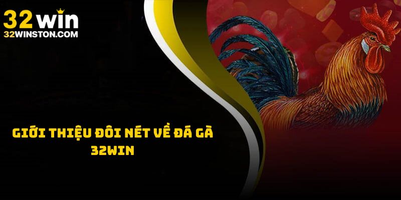 Giới thiệu sơ lược về sảnh đá gà 32win
